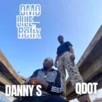 Danny S – Omo Lile (Refix) Ft Qdot
