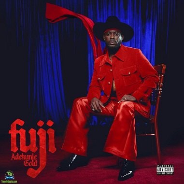 Adekunle Gold – Believe Album